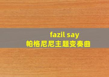 fazil say 帕格尼尼主题变奏曲